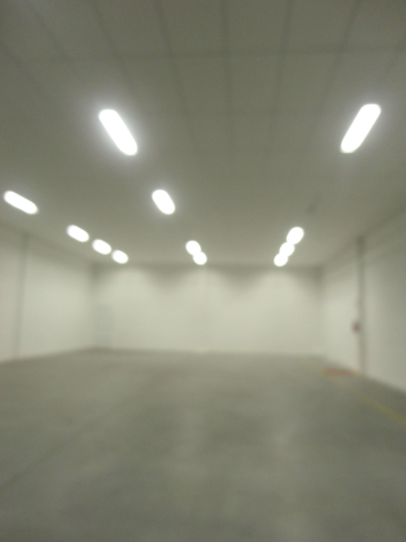 Aluga Galpão 480 m² - Avenida Vereador Abrahão João Francisco - Itajaí SC