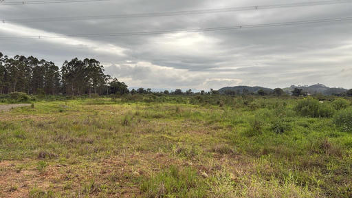 RURAL
