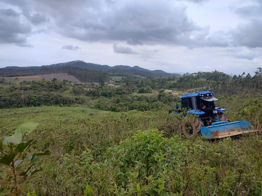 ÁREA DE TERRA EM ITINGADORES