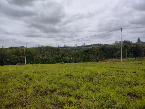 ÁREA DE TERRA EM ITINGADORES