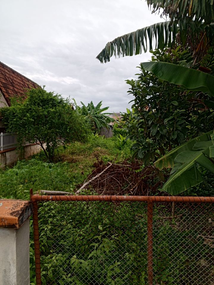 Terreno disponível para locação anual . bairro Itajubá , Barra Velha - SC